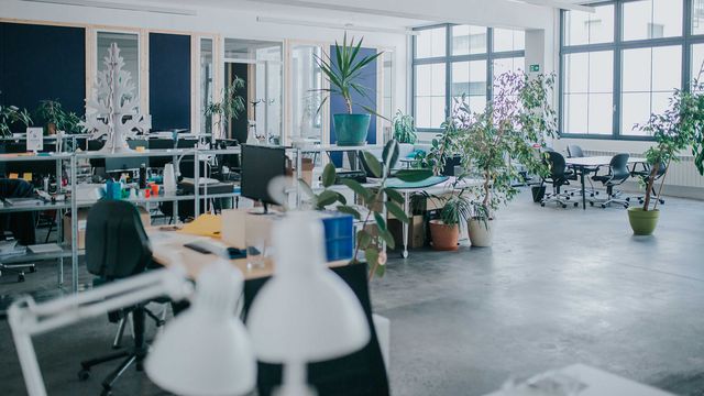Der Co-Working Space Markhof im 3. Bezirk in Wien © Erika Büttner